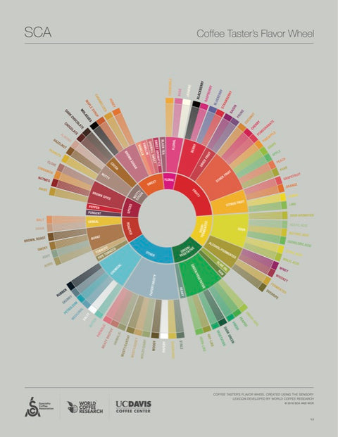 Coffee Tasters Flavor Wheel