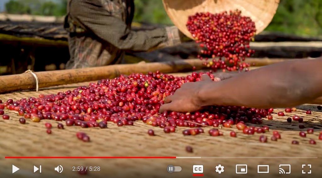 Cafe Imports: Natural Coffee Processing