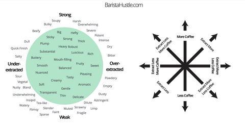 Barista Hustle's Coffee Compass