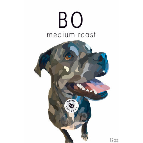 Bo Blend Medium Roast Coffee